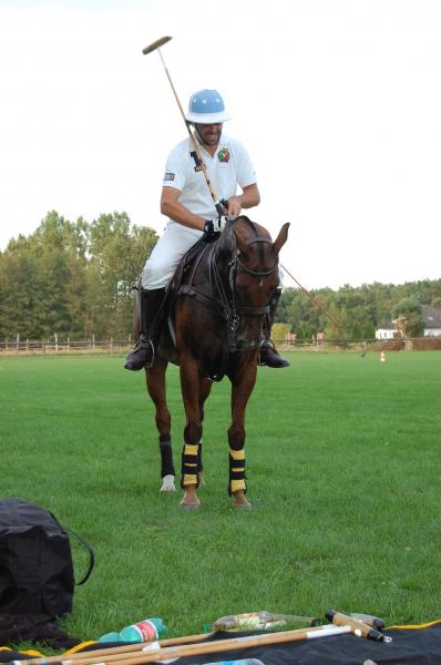 polo.jpg